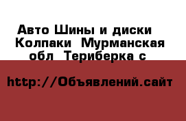 Авто Шины и диски - Колпаки. Мурманская обл.,Териберка с.